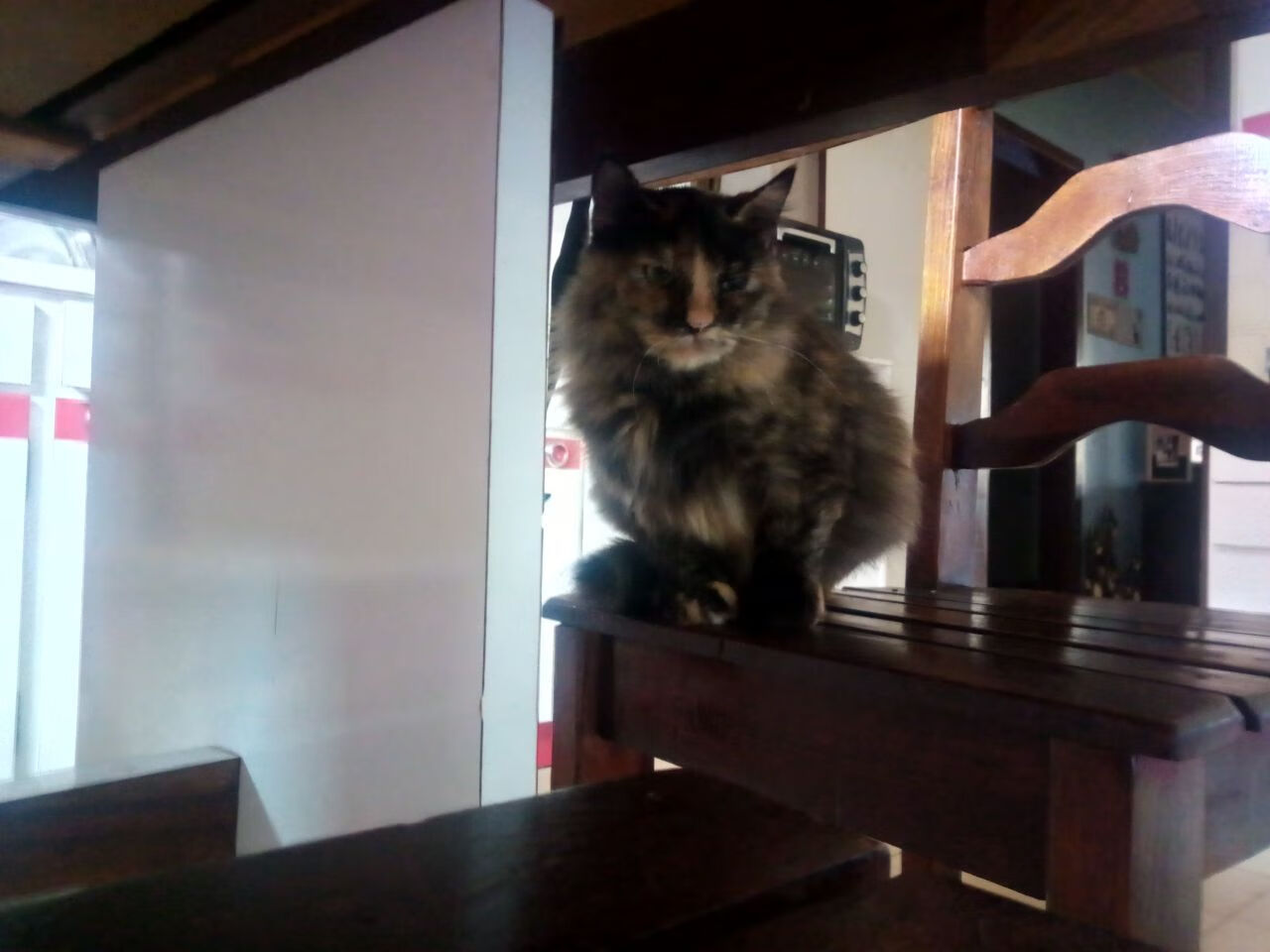 leyu乐鱼体育综合-五大联赛转会窗口期后成绩波动是否更明显，五大联赛转会截止