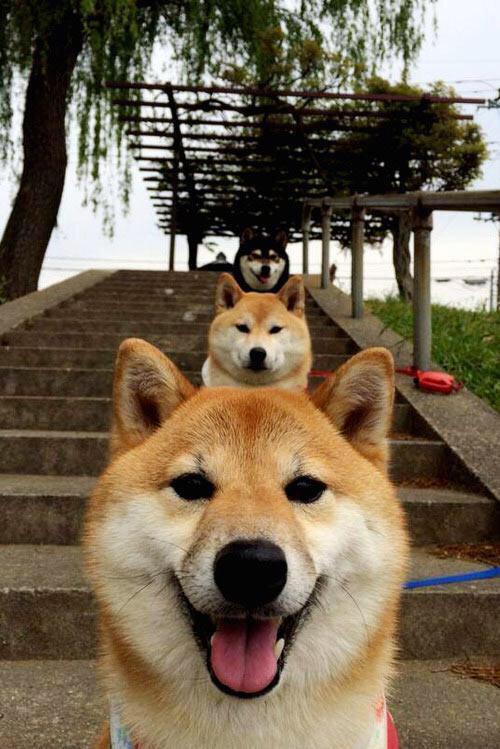 那不勒斯边路突破速度提升创造机会，那不勒斯前瞻