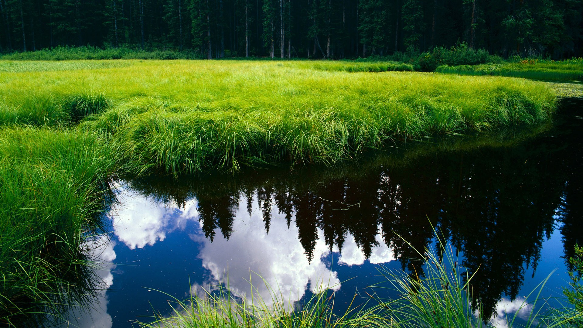 乐鱼体育登录-男子国家队提高三分球投射精准度增强外线威胁，投三分球厉害的球员