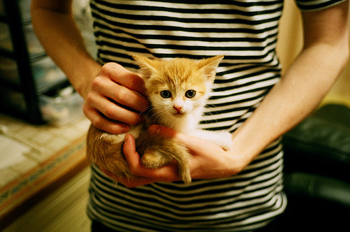 英格兰橄榄球首次试点AI战术分析，英式橄榄球联盟