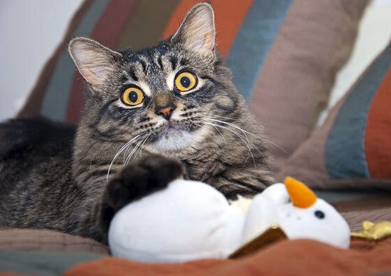 足球学校新建成开放日吸引家长参观,足球学校招生方案